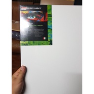canvas Frame High Quality (Top) Renaissance Stretched cotton 450 G. (30x40/40x50/50x60/60x80cm.)