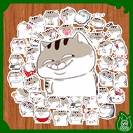 Cute Big Belly Ami Cat Sticker