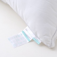 Frolina Zen Relief Pro Pillow ขนาด 19x29 inch