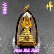 七龙佛 - 星期六佛  Phra Nak Prok