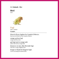 DANISH- Learn Danish Vocabulary 101