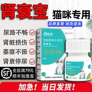 Pet Kidney Decay Baby Cat Liver Kidney Decay Cat Belly Water Cat Belly Kidney Failure Blood Liver Ki