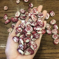Dalat royal beans 1kg