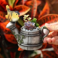 South Academy Chuanfang Creative Idyllic Bird Shower Succulent Flower Pot Succulent Plant Micro Landscape Pot Resin Flow