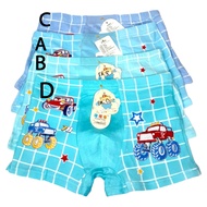 Cd W31 Boys' Boxer Shorts Size 2XL and 3XL for Max 9 years old