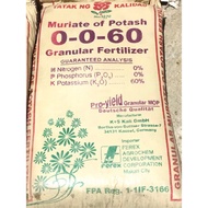 MURIATE OF POTASH 0-0-60 SOIL FERTILIZER