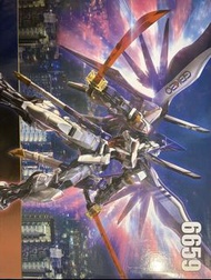 大班 韓國 異端 高達 MG 1/100 模型