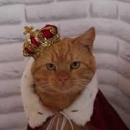 Set of Royal Crown and Velvet Cape for Pets | Birthday Crown For Animals