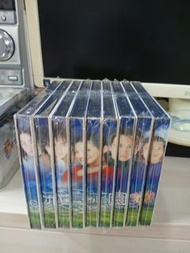 流星花園全套VCD 齊