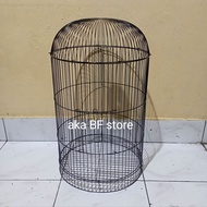 sangkar ruji burung lovebird