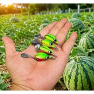 Chado H1 mini Watermelon clone 3cm cast lead weighing 6.5g floating action