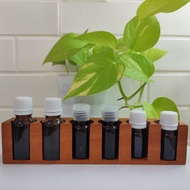 6 slot essential oil bottle holder rack 5 & 15 ml high perfume aromatherapy display rack