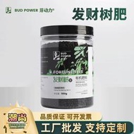 【樂樂屋】發財樹肥料專用肥家用緩釋肥招財樹幸福樹金錢樹通用復合肥花肥
