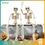 Adult Human Skeleton Model - Educational Teaching Aid Height 90/ 40CM Skeleton Frame Torso Skeleton 