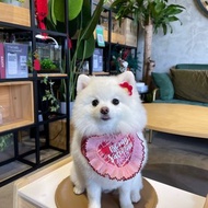 現貨 Be My Valentine 情人節 Happy Valentine's Day 寵物圍巾
