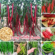 Red and Green Long Chilli Seeds for Planting (50 Seeds Per Bag) Green Pepper Seeds Organic Vegetable