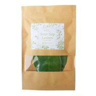 HR Organic Fresh Soursop Leaves (Daun Durian Belanda) 100 leaves