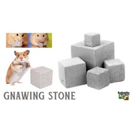 GNAWING STONE FOR SMALL PETS