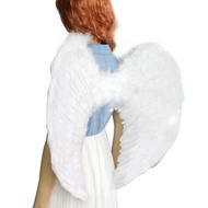 Cupid Feather Wings Angel/s Angel Wings/s