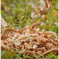 Nutrition Seeds Mixed with Dried Fruits - 6 Types