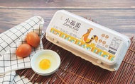 【十八養場-小福蛋3盒】色澤圓潤飽滿 清香滑嫩美味