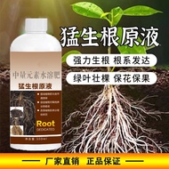 Mengsheng Root Original Universal Type Health Root Nutrition Root Protect Root Vegetable Fruit Flowe
