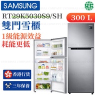 RT29K5030S9/SH 雙門雪櫃 300L 精鑄不鏽鋼（香港行貨）
