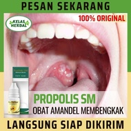Propolis SM Obat Cair Buat Amandel Anak Dewasa Obat Bengkak Amandel Obat Amandel Bengkak Sebelah Oba