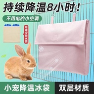 Rabbit Cooling Ice Nest Igloo Ice Box Pet Hamster Parrot Chinchilla Summer Cooling Hanging Ice Bag C