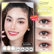 คอนแทคเลนส์ รุ่น Mini Dawn Brown / Gray / Light Brown - คิตตี้ คาวาอิ Kitty Kawaii (แบบขวด)