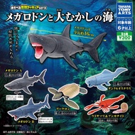 Japan TOMY Capsule Toy Ancient Marine Life Model Movable Shark Megalodon Dun's Fish Sea Scorpion Amm