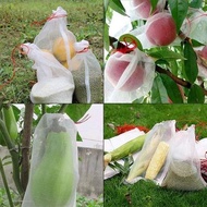 Jaring Pembungkus Buah 100pcs Pembungkus Pohon Anggur Klengkeng Mangga Bungkus Buah Di Pohon 25*35cm