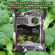 Pupuk Brokoli Cepat Besar Pupuk Organik Penyubur Tanaman Brokoli Pupuk Penyubur Brokoli Pupuk Peleba