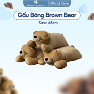 Gấu Bông Brown Bear Cotton Soft Kích Thước 65cm