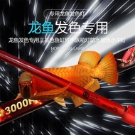 Mayin 13000K T10 LED Arowana Tanning Light Lampu 马印