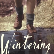 Wintering by Derek Johns
