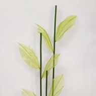 Giant Flower Stem Sold Only Stems