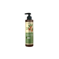 BIO+ BIO PLUS ANTI HAIR LOSS SHAMPOO WITH SEABUCKTHORN