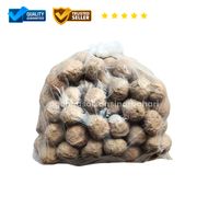 BAKSO IKAN / BASO IKAN SINAR BAHARI BANDUNG 1 Bal Bakso Besar