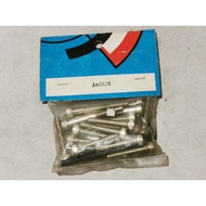 MODENAS JAGUH ENGINE COVER /MAGNETO & CLUTCH COVER CAP SCREW SET FREE ALLEN KEY