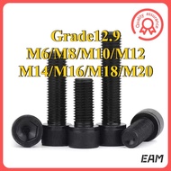Fine Threaded Hex Socket Cap Head Screws 304 Stainless Steel SHINY SURFACE Allen Bolt DIN912 Skru 12
