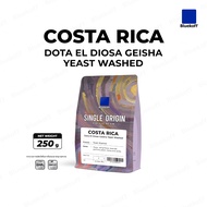 Bluekoff เมล็ดกาแฟ Costa Rica Dota El Diosa Geisha Yeast Washed อราบิก้า 100% ขนาด 250 กรัม