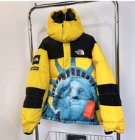 THE NORTH FACE The Main Picture Real Shot High Version Of The Statue Of Liberty Down Cotton-padded J