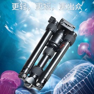 Tripod Wolfgang Desktop EOS 750D 760D 1300D 70D 7D2 6D 5D3 For Use