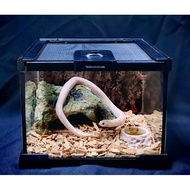 Accessories for Reptile Pet Pacman Frog Gecko Snake Bowl Dish Hideout
