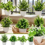 7 Styles Durable Simulated Fake Potted Plants- Ultra Real Plastic Non Fading Mini Green Plant- Bedro