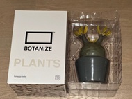 MEDICOM TOY x BOTANIZE VCD Pachypodium Gracilius (AUTUMN LEAVES)