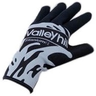 Valley Hill Titanium α Shield Gloves M Gray 41748