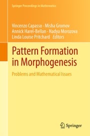 Pattern Formation in Morphogenesis Vincenzo Capasso