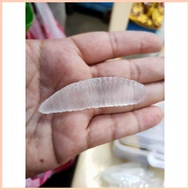 ◷ ✻ ﹊ Mutya ng Linta Clear with oracion